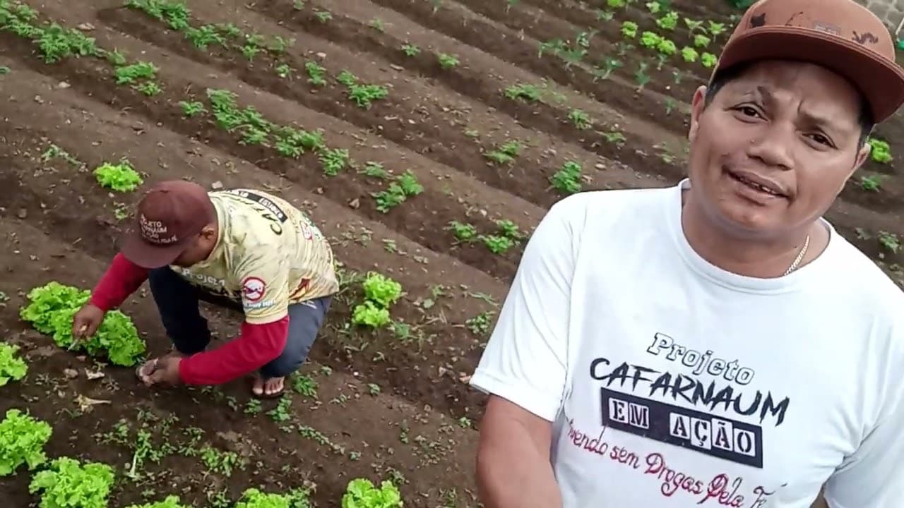 Ailton sobre Laborterapia